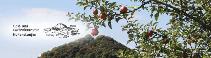 ogv hohenstaufen