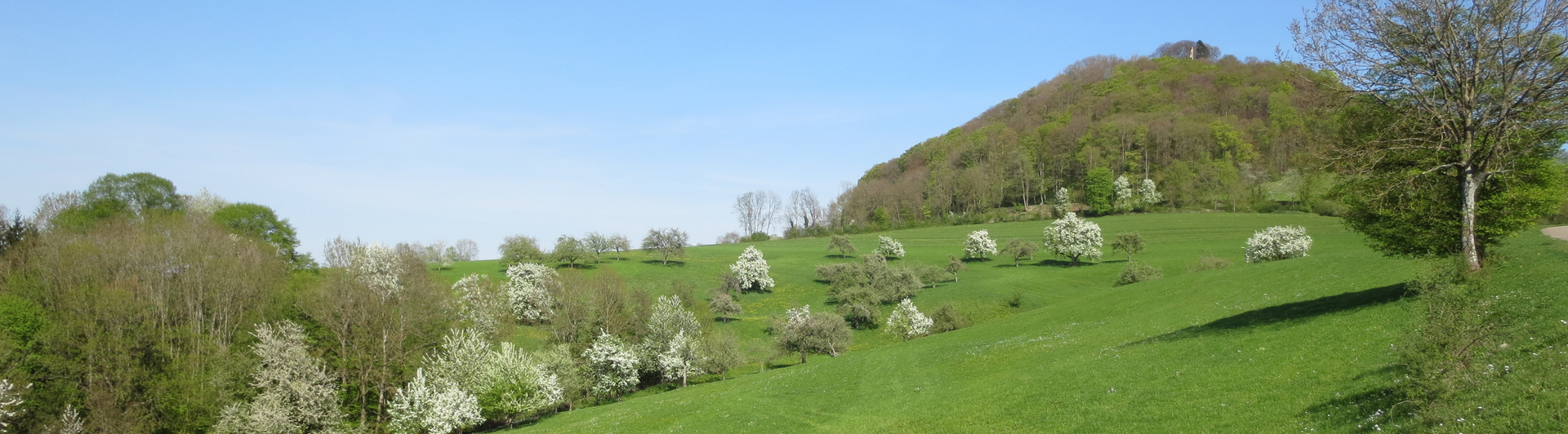 OGV Hohenstaufen e.V.